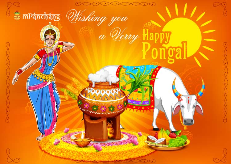 happy pongal greetings images