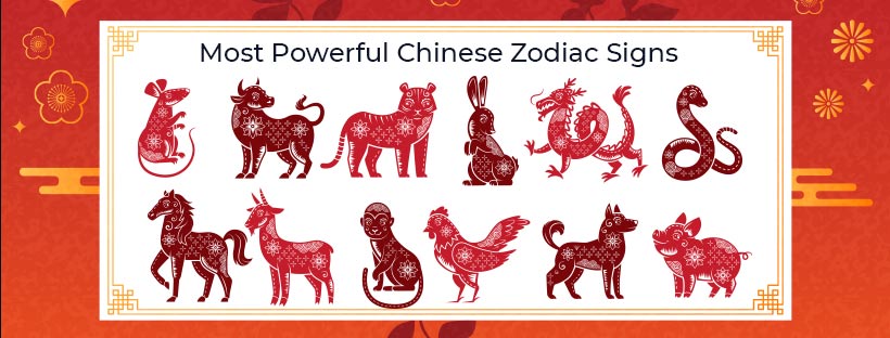 Top 6 Most Powerful Chinese Zodiac Signs